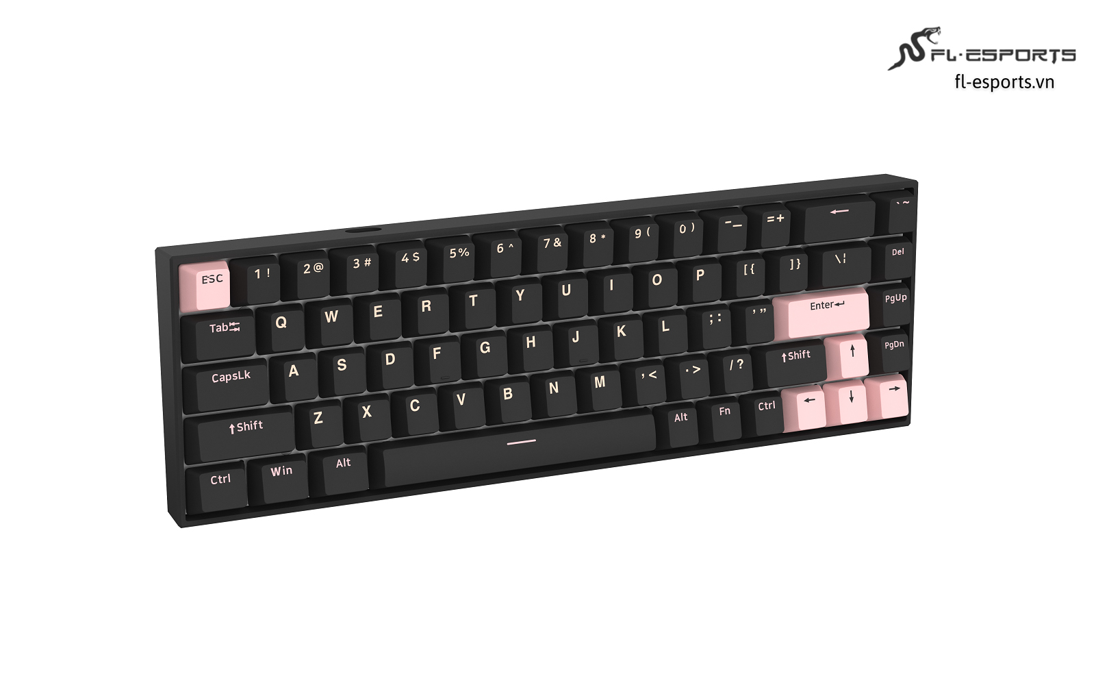 FL-Esports F12 RGB Black Olivia là chiếc bàn phím cơ có layout 68 phím với 3 chế độ kết nối (3 Mode), sử dụng Kailh Box Switch và chỉ tương thích với Windows