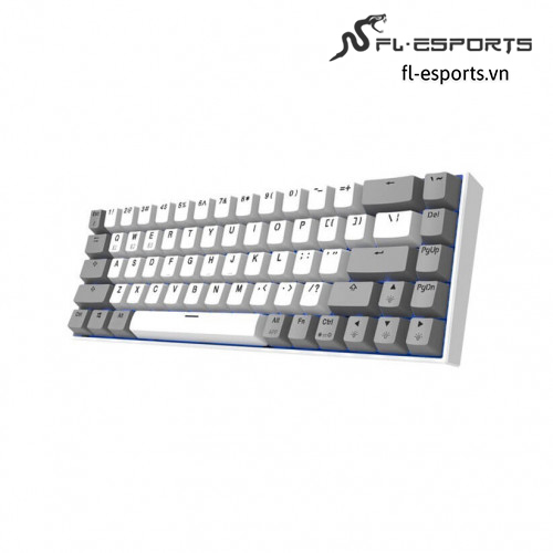 FL-Esports F12 RGB White Grey