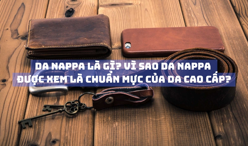 Da Nappa là gì?