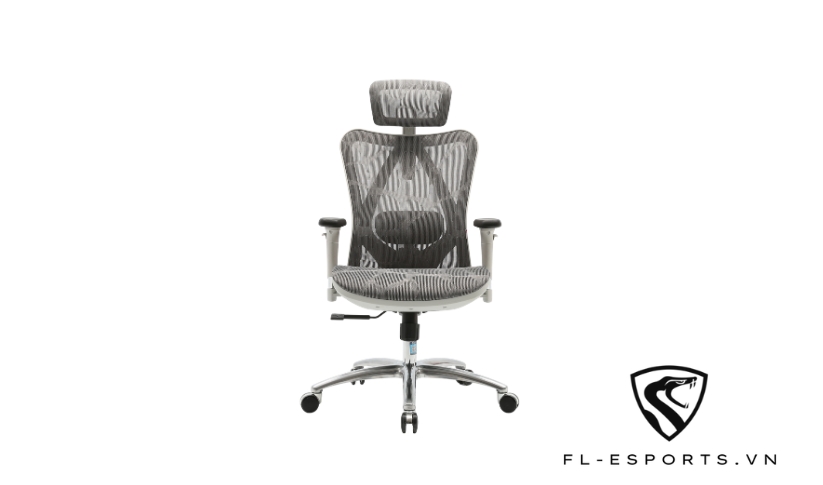 Ghế công thái học M57 Ergonomic Chair